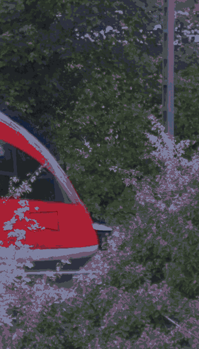 There should be a train video here :'(
