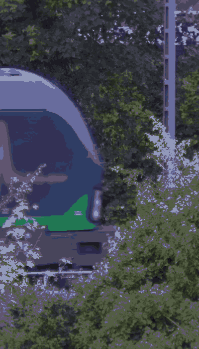 There should be a train video here :'(