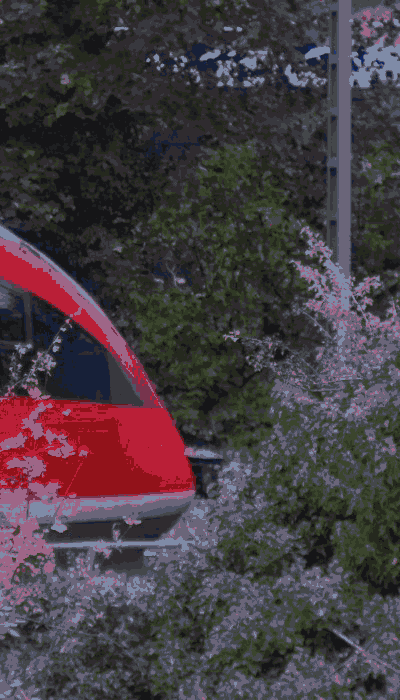 There should be a train video here :'(