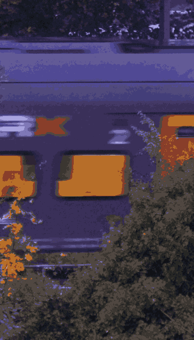 There should be a train video here :'(