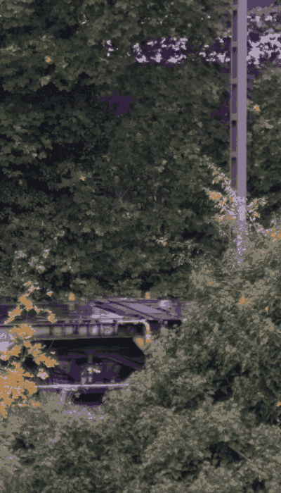 There should be a train video here :'(