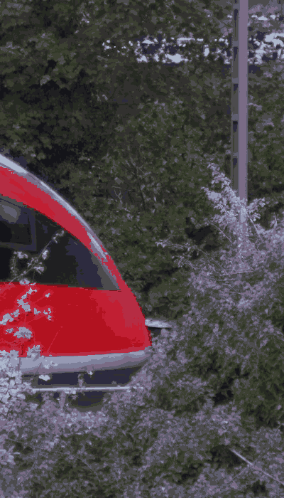 There should be a train video here :'(