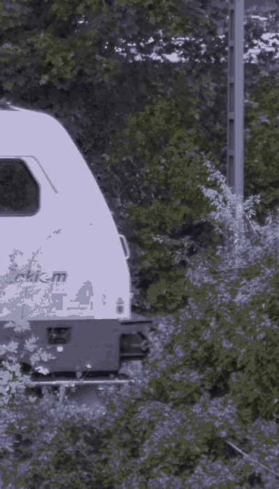 There should be a train video here :'(