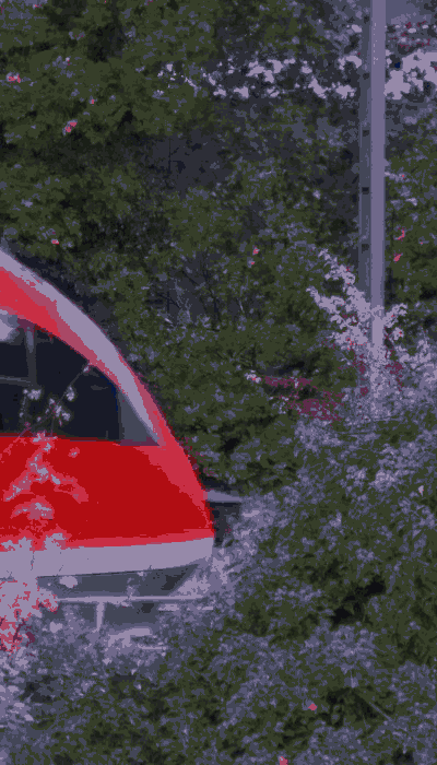 There should be a train video here :'(