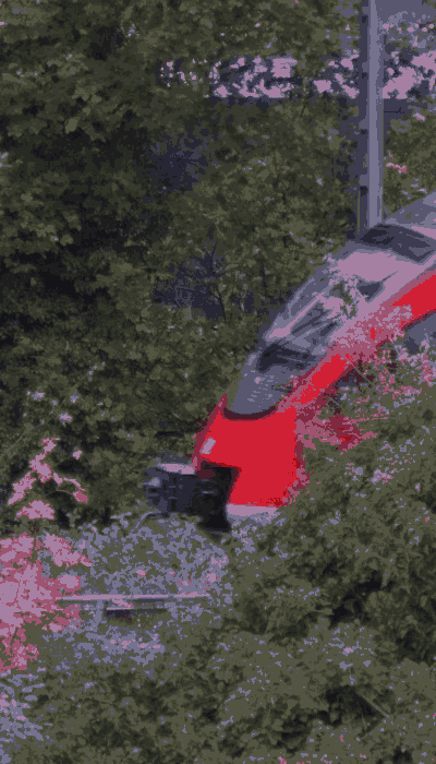 There should be a train video here :'(