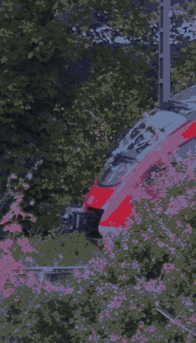 There should be a train video here :'(