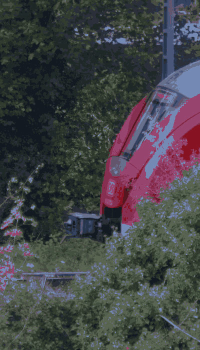 There should be a train video here :'(