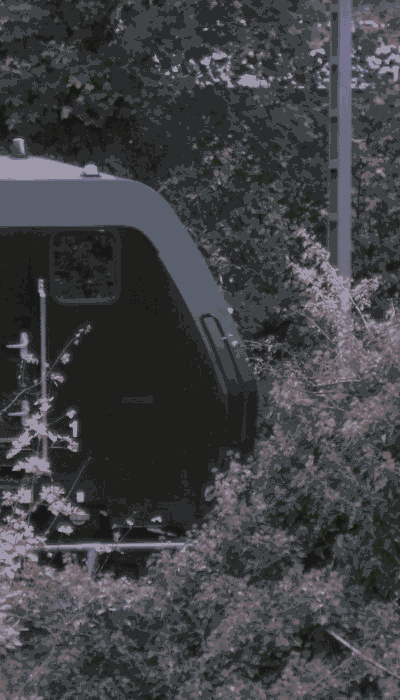 There should be a train video here :'(