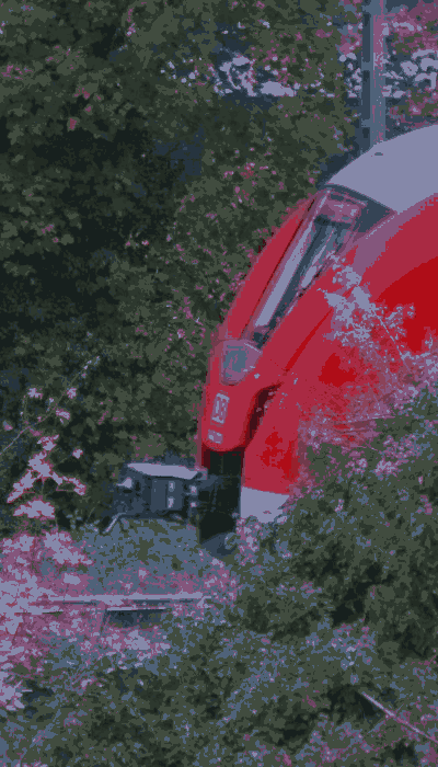 There should be a train video here :'(