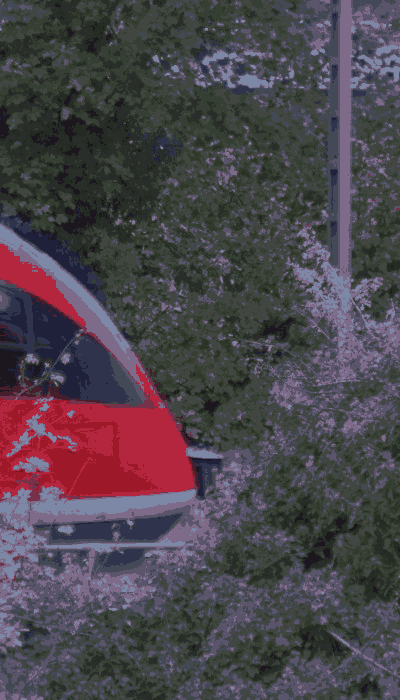 There should be a train video here :'(