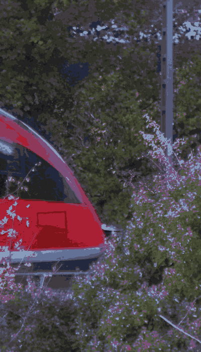 There should be a train video here :'(