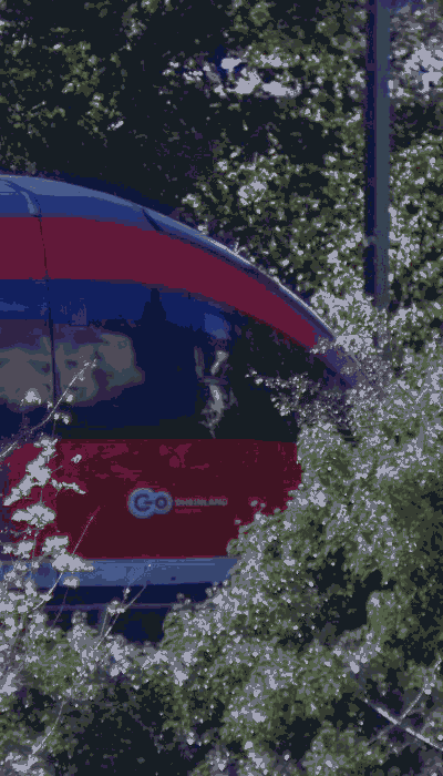 There should be a train video here :'(