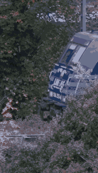 There should be a train video here :'(