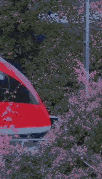 There should be a train video here :'(