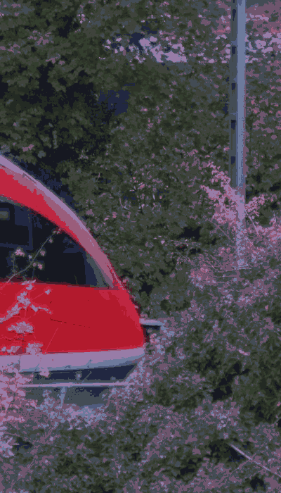 There should be a train video here :'(