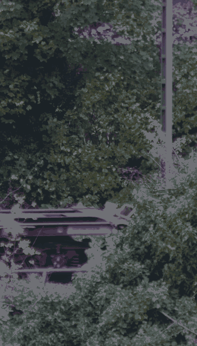 There should be a train video here :'(