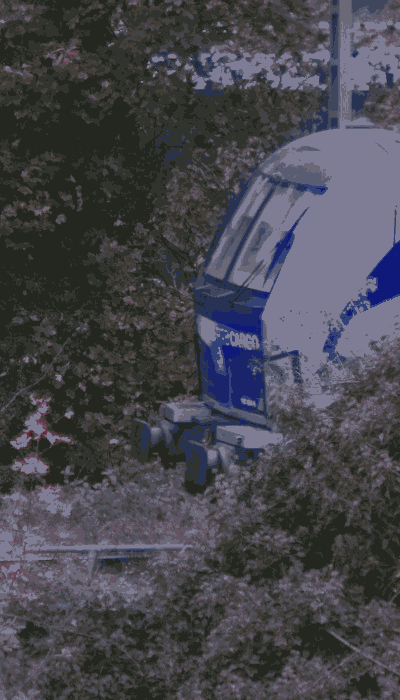 There should be a train video here :'(