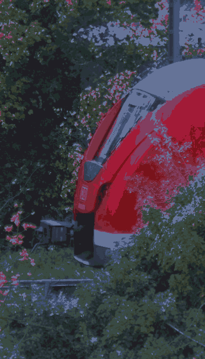 There should be a train video here :'(