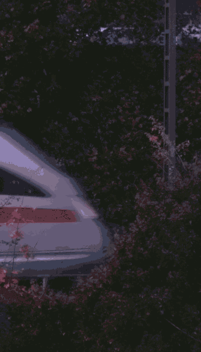 There should be a train video here :'(