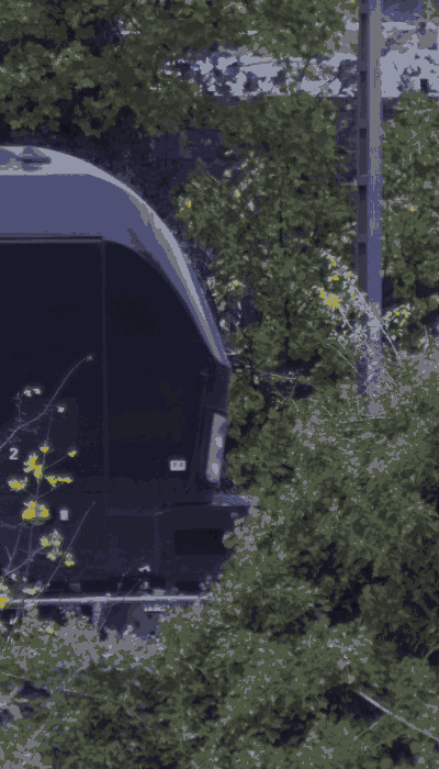 There should be a train video here :'(