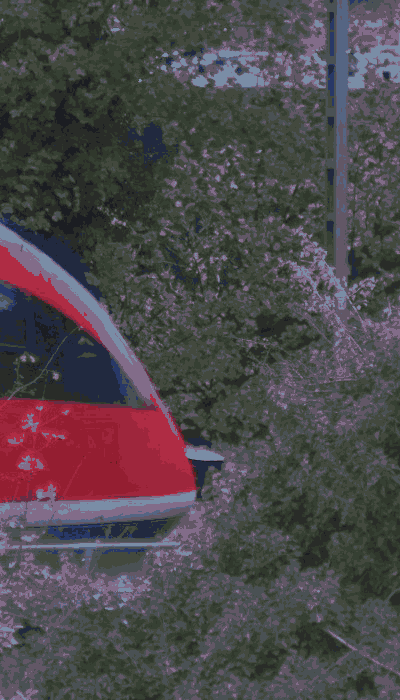 There should be a train video here :'(