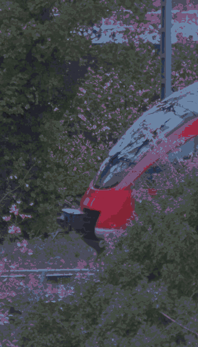 There should be a train video here :'(