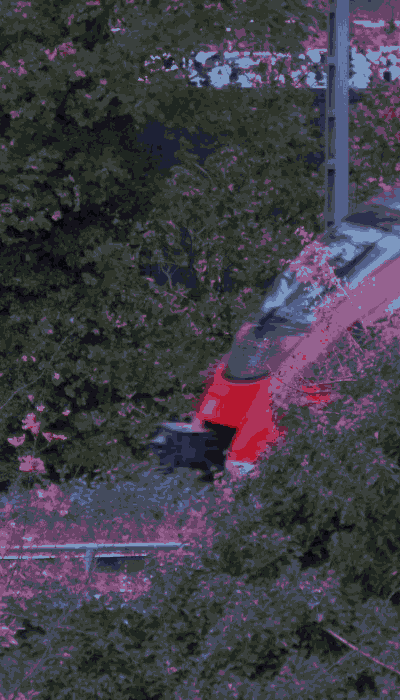 There should be a train video here :'(