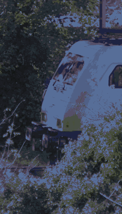 There should be a train video here :'(