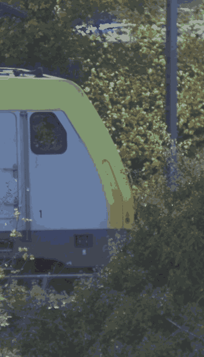 There should be a train video here :'(