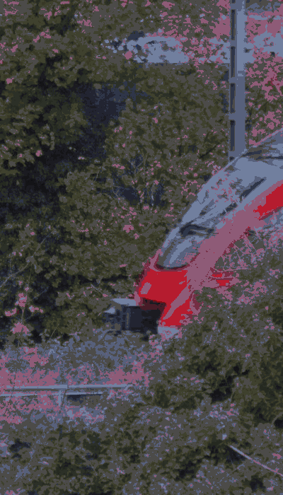 There should be a train video here :'(