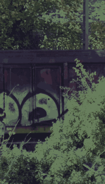 There should be a train video here :'(