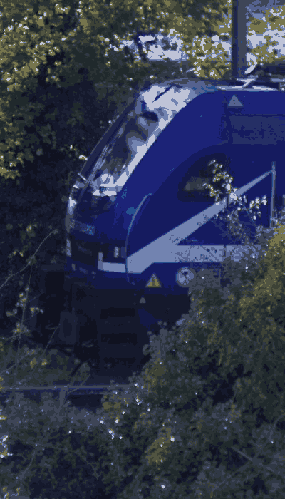 There should be a train video here :'(