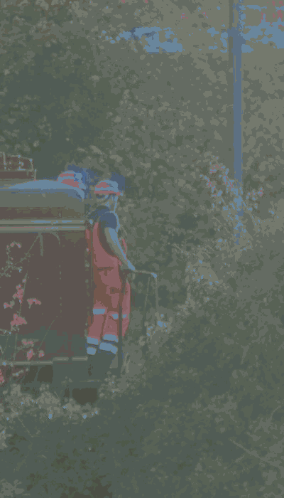 There should be a train video here :'(