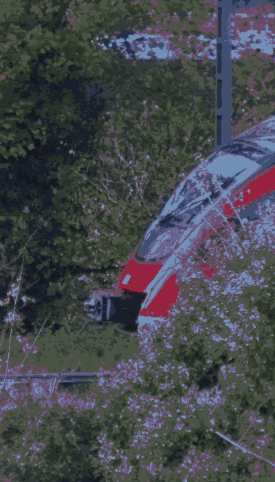 There should be a train video here :'(