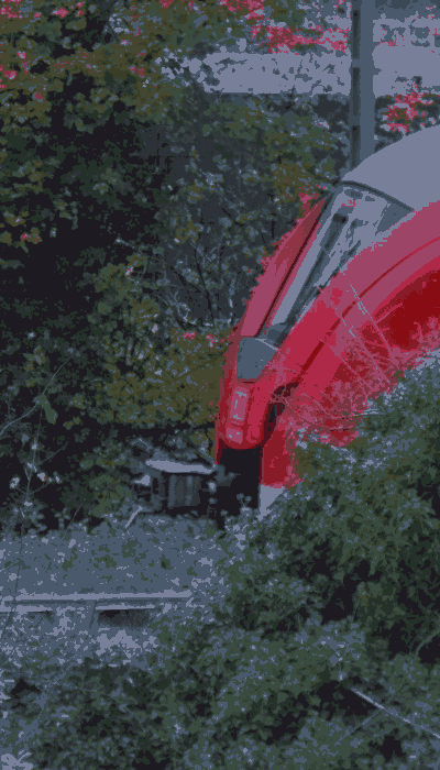 There should be a train video here :'(