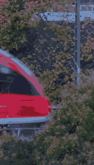 There should be a train video here :'(