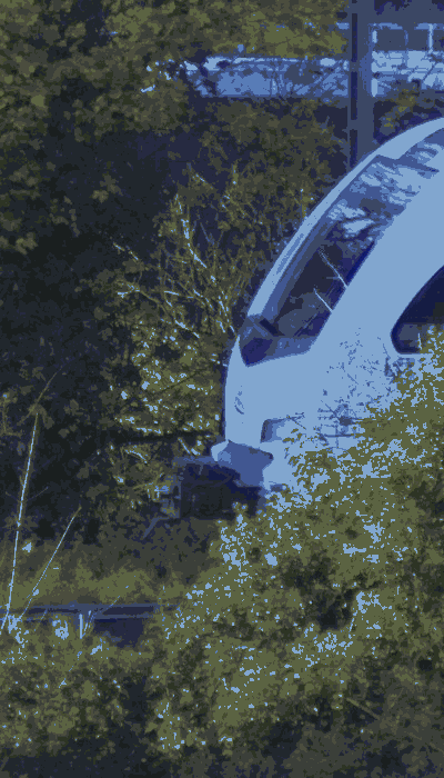 There should be a train video here :'(