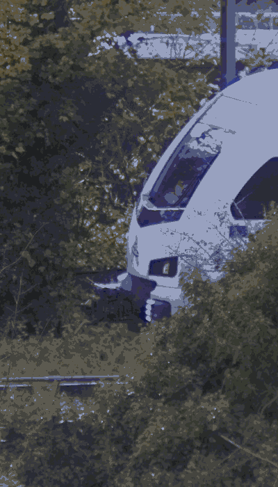 There should be a train video here :'(