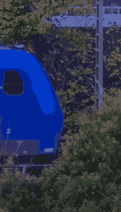 There should be a train video here :'(