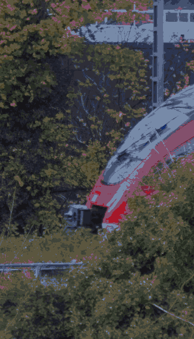 There should be a train video here :'(