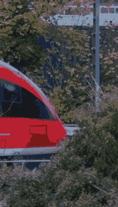 There should be a train video here :'(