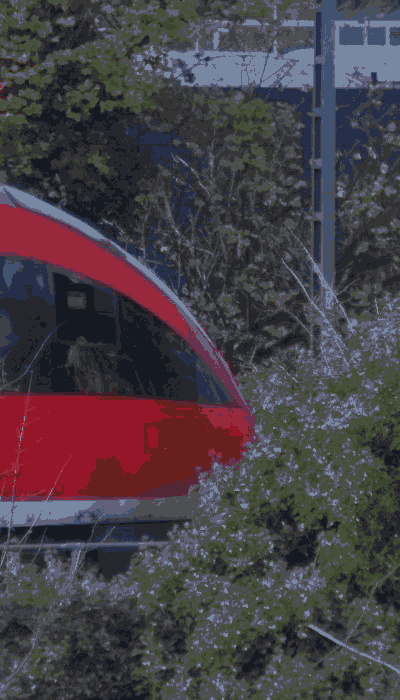 There should be a train video here :'(