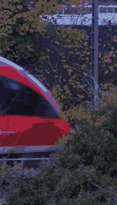 There should be a train video here :'(