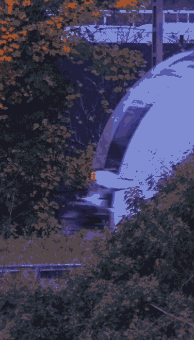 There should be a train video here :'(