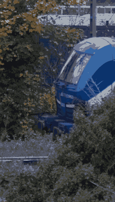 There should be a train video here :'(