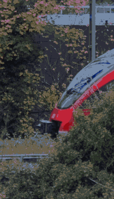 There should be a train video here :'(