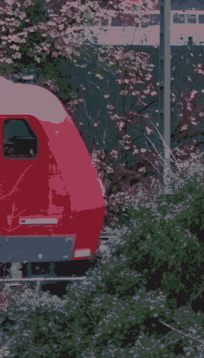 There should be a train video here :'(