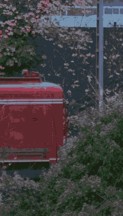 There should be a train video here :'(