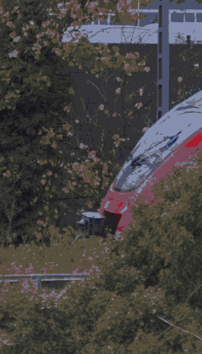 There should be a train video here :'(