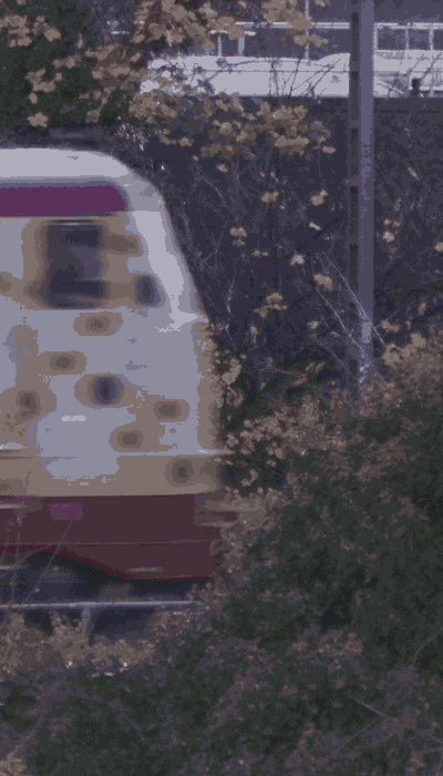 There should be a train video here :'(